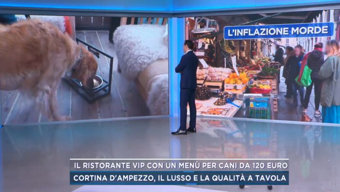 Ristorante vip per cani, piatti di lusso e foglia d’oro con menù da 120 euro fanno discutere