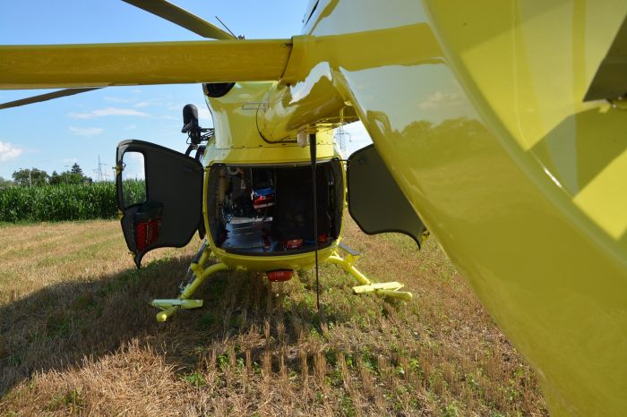 Punto da calabroni mentre caccia: intervento dell’elisoccorso per un 37enne in Veneto