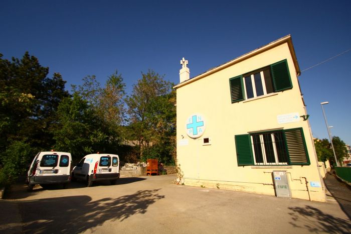 Enpa Trieste, mercoledì oltre 100 tordi saranno reintrodotti in natura dopo oltre 2 mesi di cure