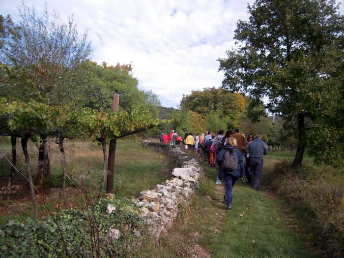 Curiosi di natura, domenica escursione a Duino sul Timavo