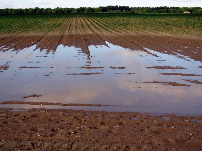 Mari freddi, alluvioni lampo: arriva 'La Niña', ecco cosa porterà