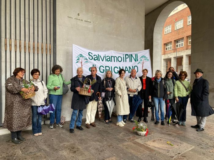Rametto di pino o segatura: il flash mob davanti al Consiglio Regionale per salvare i pini di Grignano