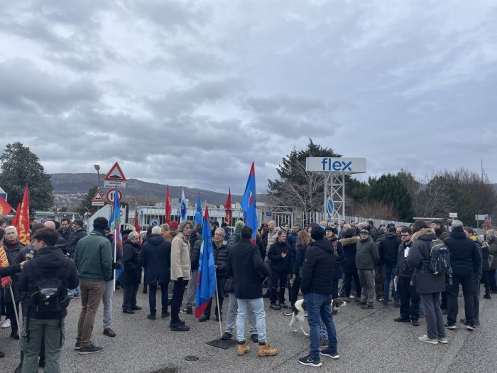 Crisi Flex, Bini-Rosolen: "Impegno advisor per vendita e tutela occupazionale!"