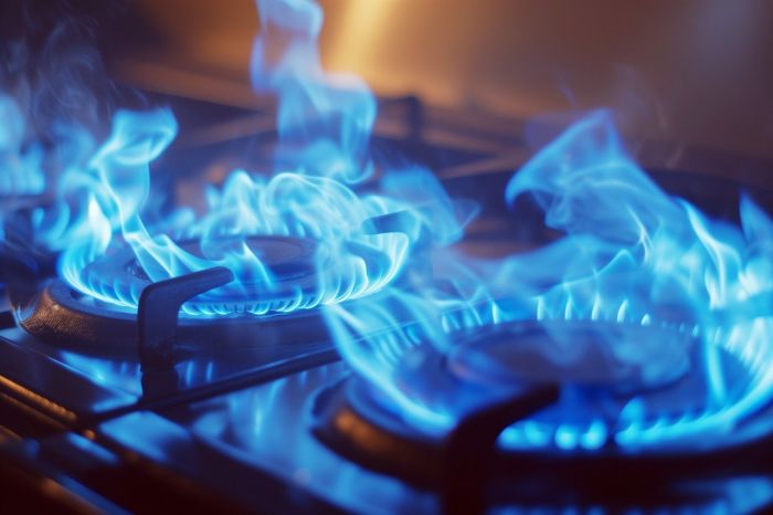 Gas, ecco come l'Ue può essere indipendente dalla Russia