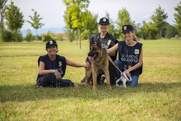 Trieste, aperte le iscrizioni al corso OIPA per diventare Guardia Zoofila Volontaria