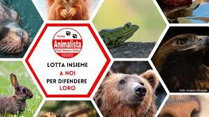 Ddl 1552, l'allarme degli animalisti Fvg: “Attacco a natura e sicurezza dei cittadini”