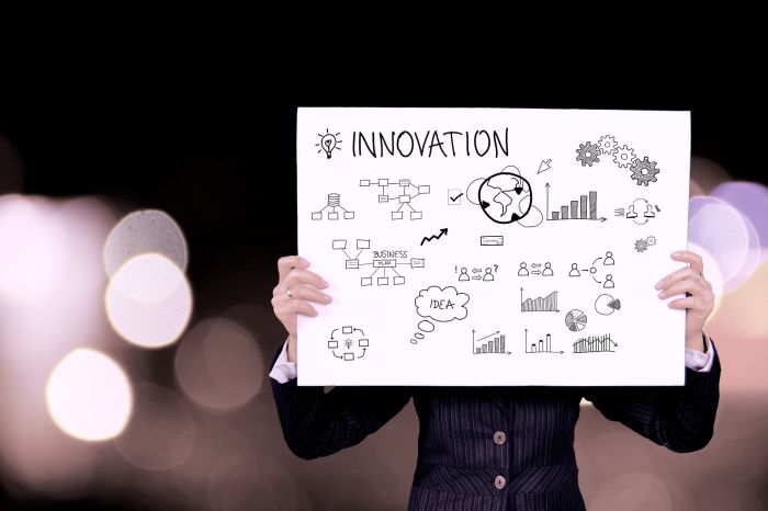 Fvg. Dal Ces di Las Vegas alle imprese regionali, come gestire la governance dell'innovazione 