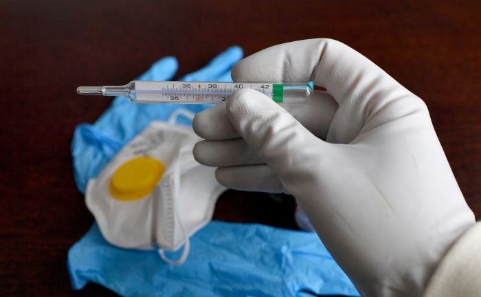 Virus Dengue nel territorio Giuliano, due casi a Trieste