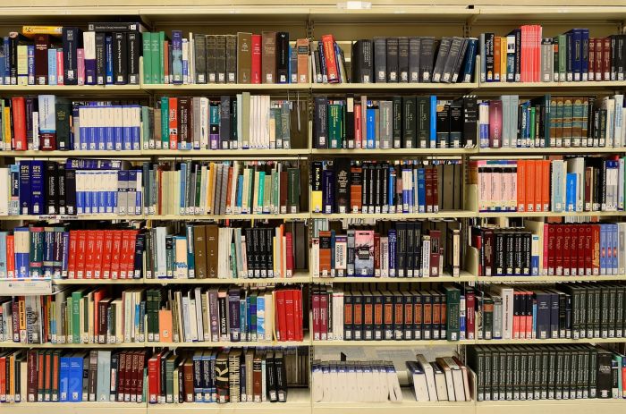 Fvg, un giovane su dieci è NEET: il primo rapporto Dedalo rivela una vulnerabilità crescente