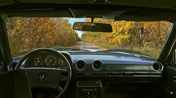 Gli italiani usano l'auto sia per spostamenti quotidiani che per vacanze