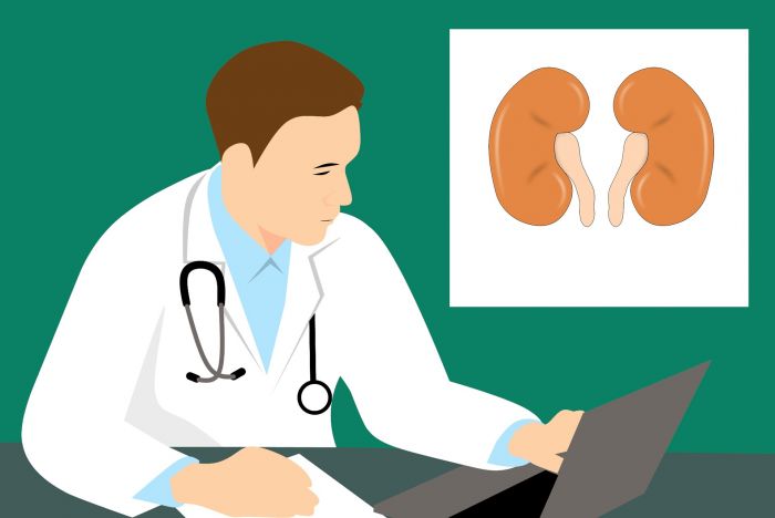 Giornata mondiale del rene, un ambulatorio informativo all’Ospedale “San Giovanni di Dio” di Gorizia 