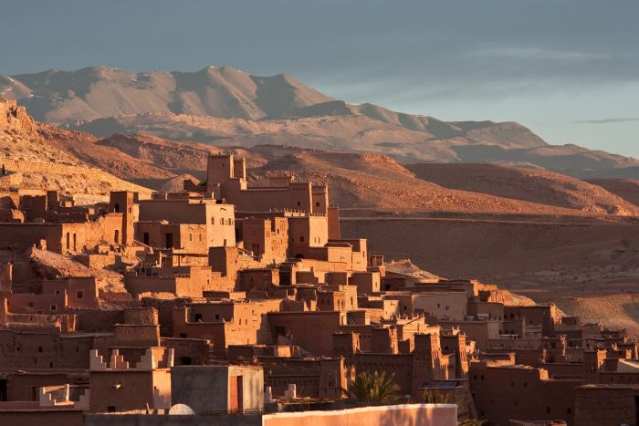 Il Marocco vieta le esportazioni di olio d'oliva 