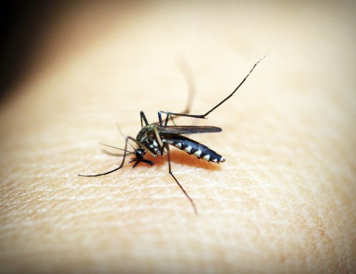 Vietnam: dengue in aumento, anche casi con complicazioni gravi