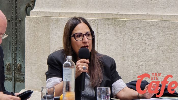  Accoglienza, Paglia (PD): FdI strilla "sicurezza", ma lascia Trieste nel degrado
