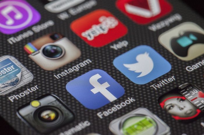 Internet. Agcom: primo e stabile Facebook, crescono Instagram, Tik Tok e X