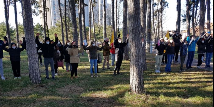 Pineta Cattinara, Legambiente: "Sono centinaia le cittadine e i cittadini che in questi giorni firmano la petizione"