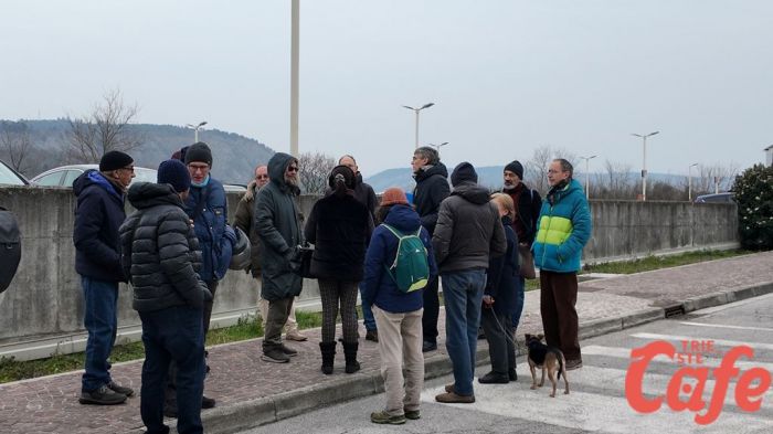 Comitato: "Burlo e pineta di Cattinara, solo 865 pianticelle per compensare 550 alberi abbattuti"