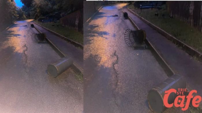 “Vialetti devastati e paura ogni sera”: la denuncia di una triestina su via Rigutti e via Salem (VIDEO)