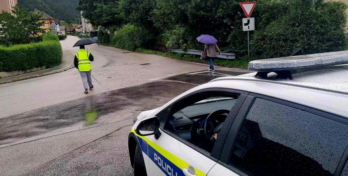 Slovenia, sequestro shock: 20 cuccioli in condizioni critiche svelano l’inferno delle fabbriche di cani
