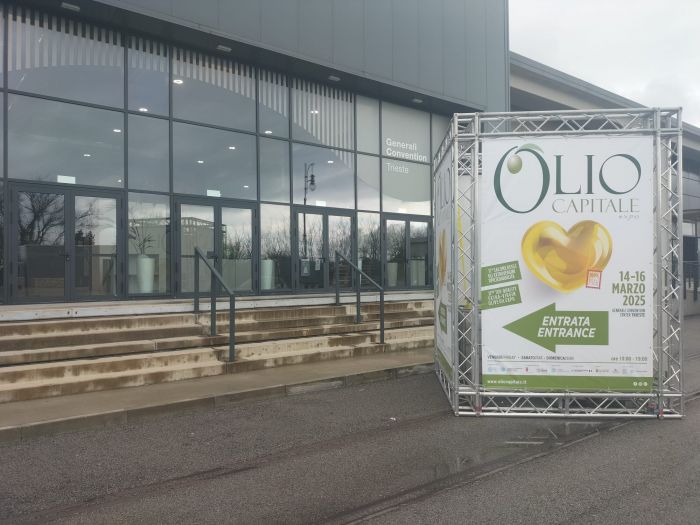 Trieste pronta ad accogliere Olio Capitale 2025: il grande evento dedicato all’oro verde