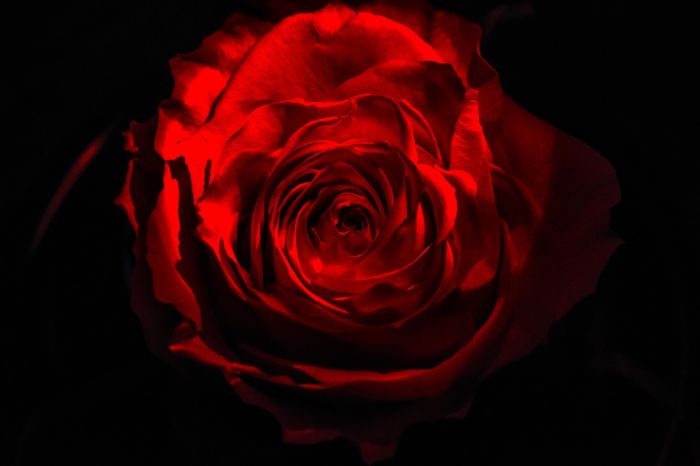 Nessuna è sola : in una donna , tutte le donne, insieme per cambiare