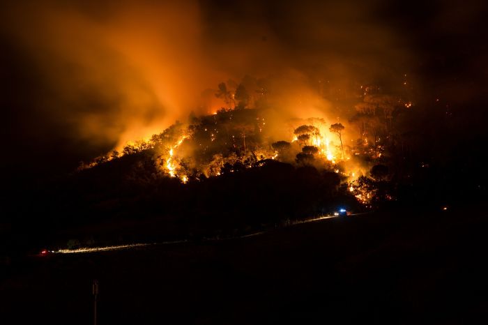 Incendi, Monfalcone primo Comune non montano ad avviare la sistemazione della viabilità forestale 