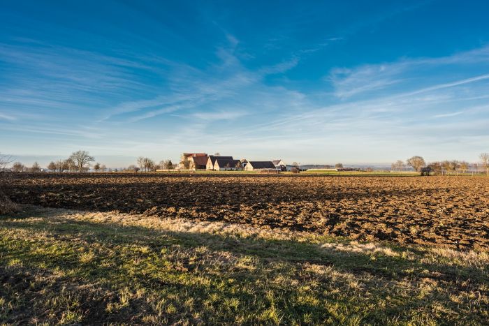 Clima, Coldiretti: Con primavera anticipata agricoltura in tilt