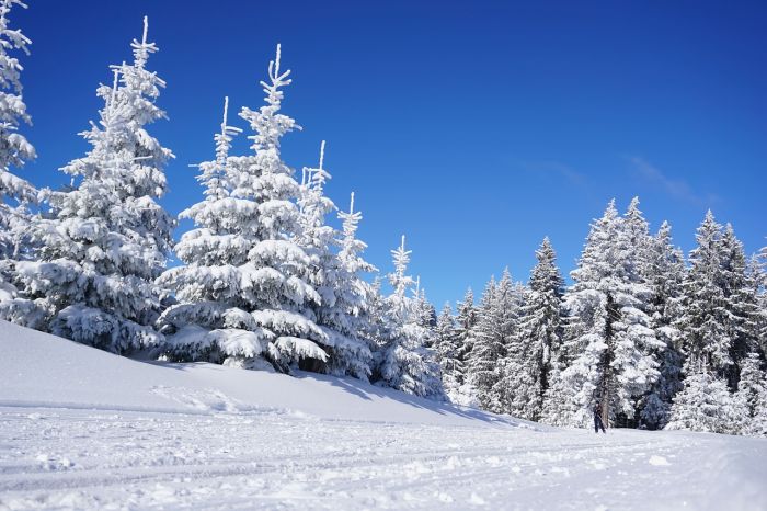 Stagione dello sci al via, ecco gli impianti aperti dal 7 dicembre