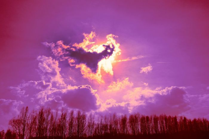Tempesta geomagnetica nei cieli del Nord Est ed è subito spettacolo rosa 