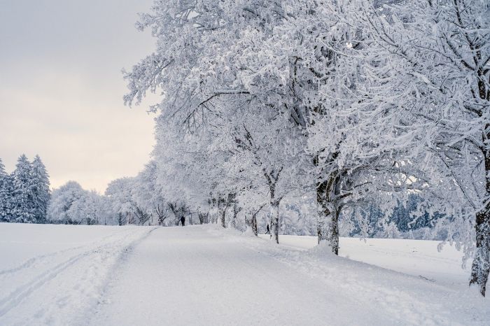 “Bon, Nadal xe finì. Ma quando riva primavera?”: il lamento di un triestino stanco dell’inverno