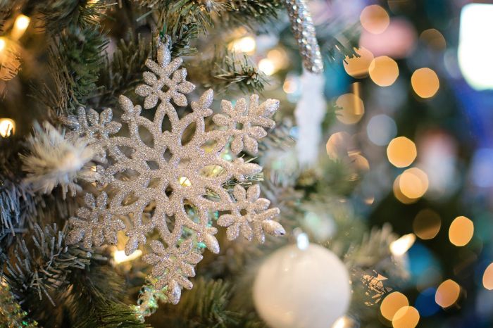 Concorso “Addobbi natalizi”: scuole in festa per il Natale a Barriera Vecchia e San Giacomo