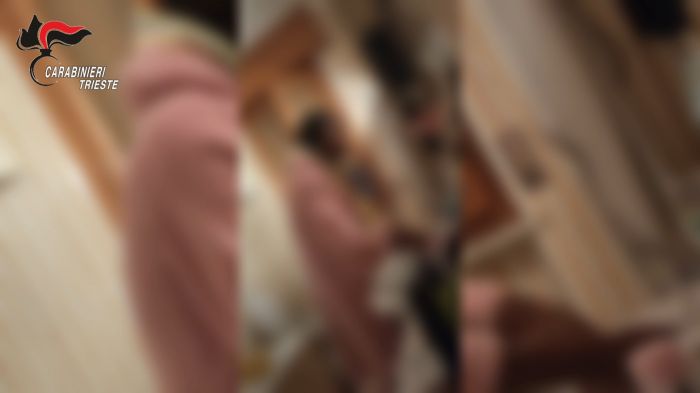 Usava le telecamere per spiare bambini e abitazioni: arrestato installatore a Trieste (VIDEO) 