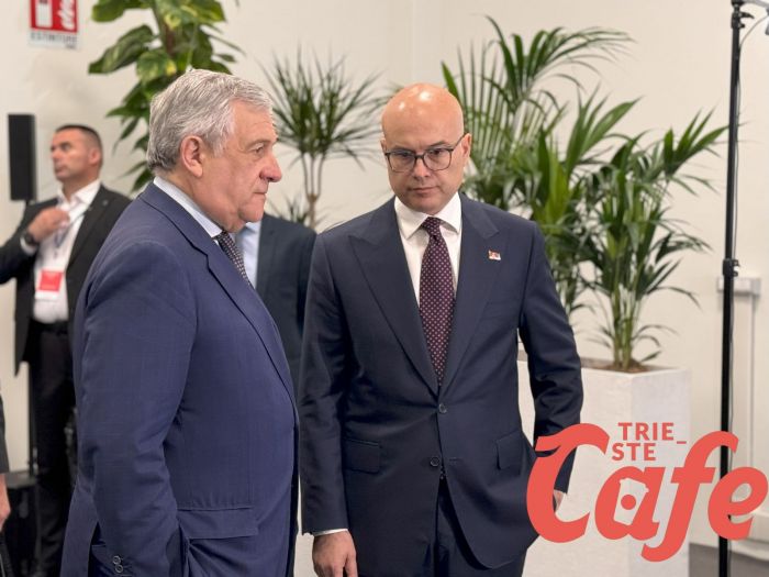 Tajani: continueremo a sostenere l'Ucraina, anche inviando armi