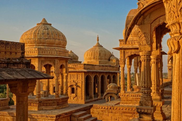 India, bambino di tre anni ucciso da uno sciame di api