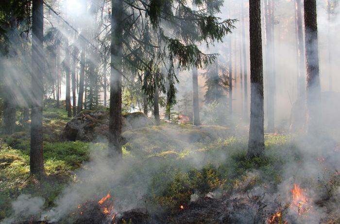 Clima, OMM: nel 2023 battuti tutti i principali record globali