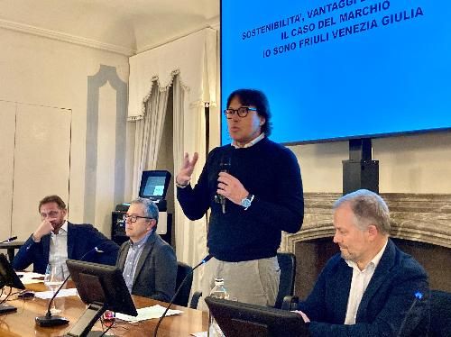 Turismo: Bini, marchio "Io sono FVG" foriero di grandi risultati