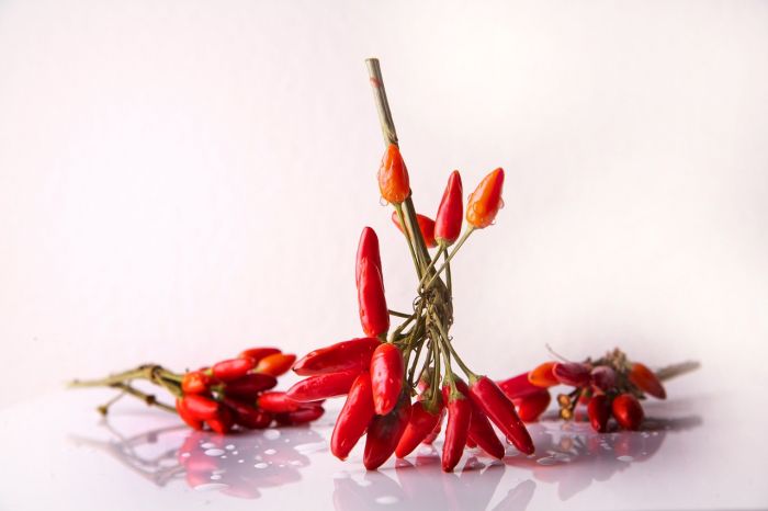 Il peperoncino, business made in Italy tra i più redditizi