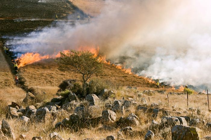 Incendi, Wwf: Destino dell'uomo legato a quello della natura