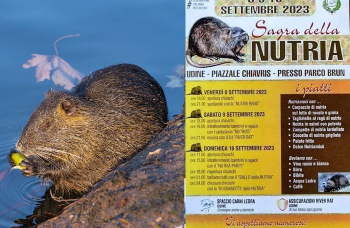 "Sagra della nutria" a Udine BOOM sui social, ma è un FAKE