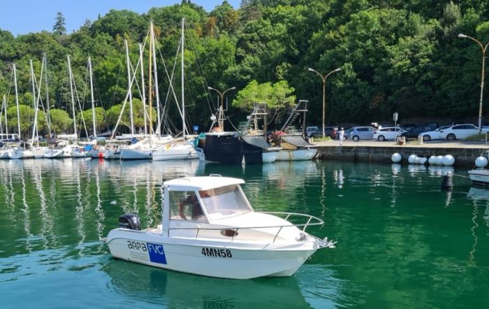 Si tira un sospiro di sollievo, l'alga tossica a Canovella sotto valori guardia