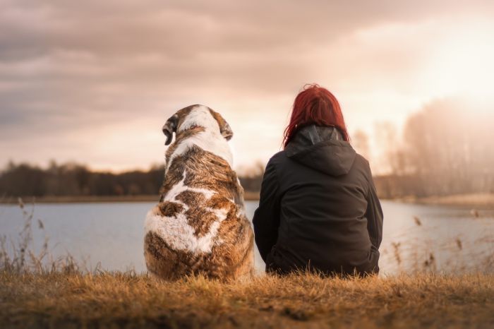 LO STUDIO: I cani ascoltano le donne più degli uomini