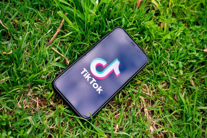 Usa: la Camera approva la legge per vietare TikTok