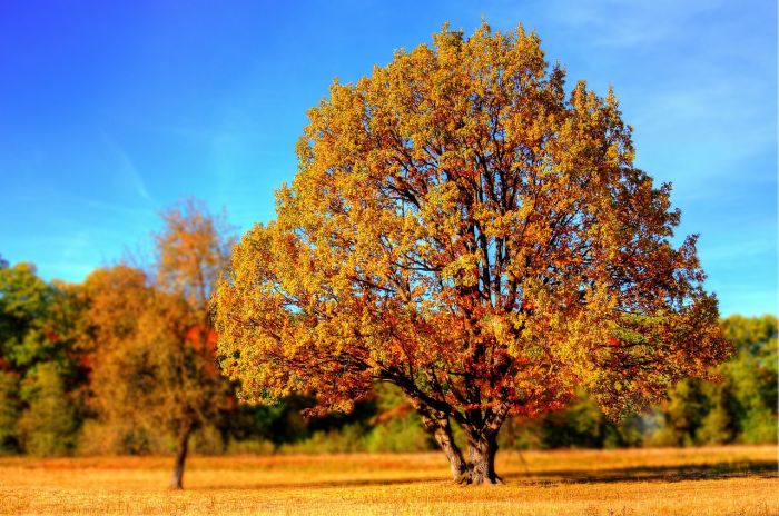 Ultimi giorni di caldo e bel tempo, dal weekend sarà autunno
