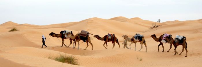 La Tunisia muore di sete e si riduce a bere acqua contaminata