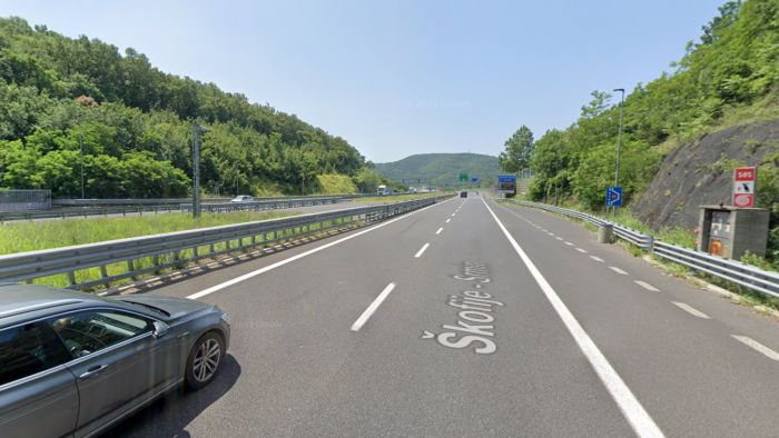 Cinghiale avvistato sulla superstrada in direzione Muggia, automobilisti invitati alla prudenza