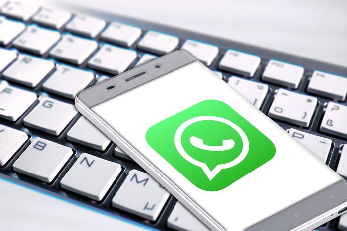 Down di 1 ora per WhatsApp,'al lavoro per risolvere velocemente'