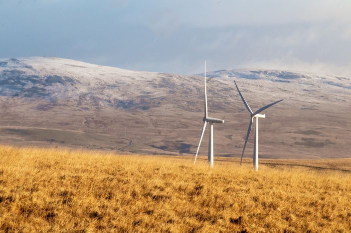 Rinnovabili superano carbone: entro 2025 al primo posto ci sarà elettricità green