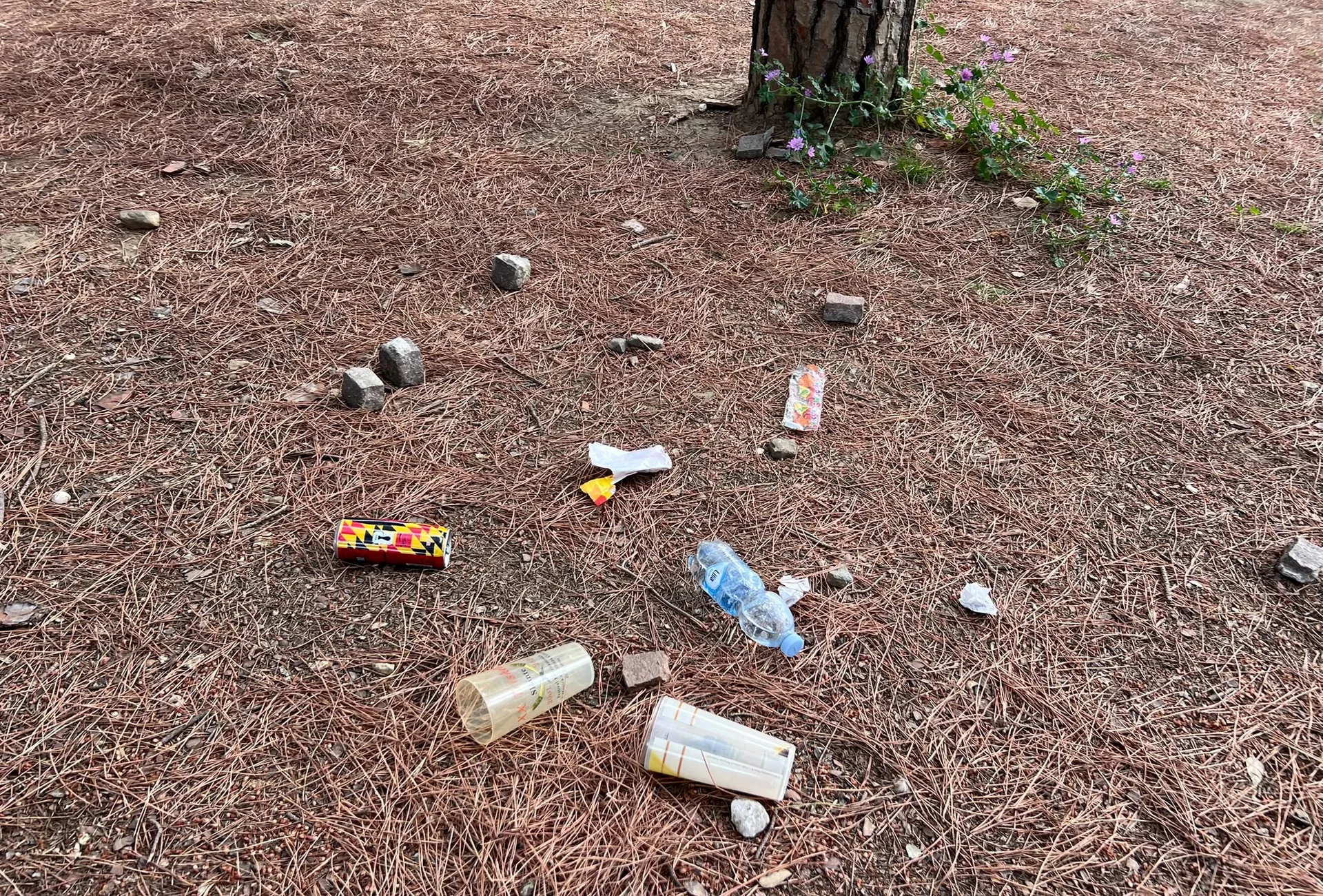 Barcola, pineta trasformata in una discarica dopo la notte: scatta la protesta dei residenti