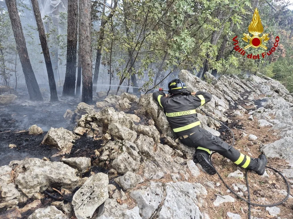 Trieste, incendio nel sottobosco carsico tra Opicina e Monte Grisa: fiamme confinate in mezzo ettaro