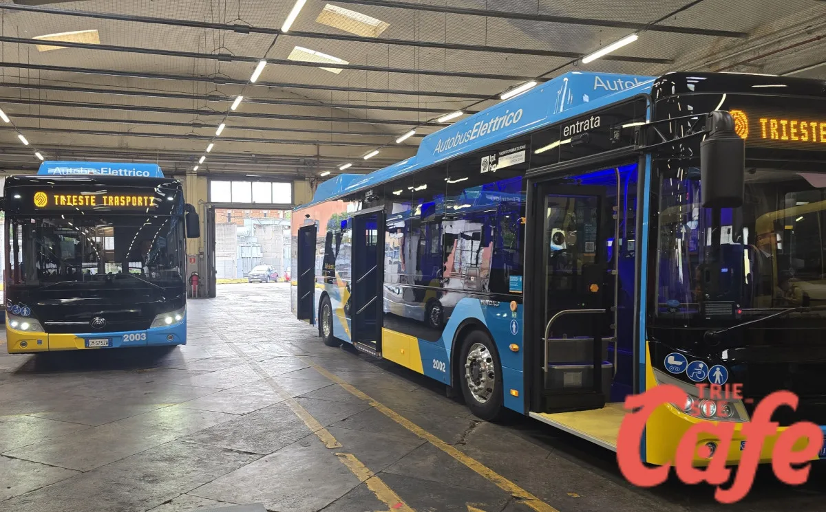 Turisti sempre più sui bus a Trieste, ma scattano le multe: “Molti non sanno come validare il biglietto” (VIDEO)